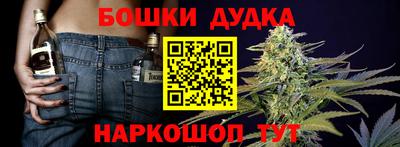 мдпв Нальчик