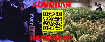 мдпв Нальчик