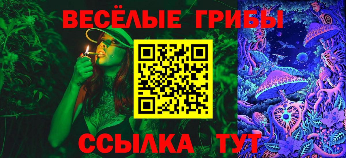Псилоцибиновые грибы GOLDEN TEACHER  магазин продажи наркотиков  Туймазы  Вход с VPN  Псилоцибиновые грибы Magic Shrooms 